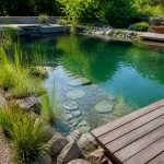 Construire une piscine naturelle : matériaux, étapes et conseils techniques